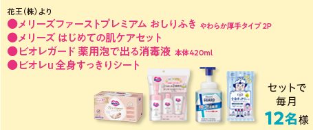 メリーズファーストプレミアム はじめての肌ケアセット　ビオレガード薬用泡で出る消毒液　ビオレu全身すっきりシート